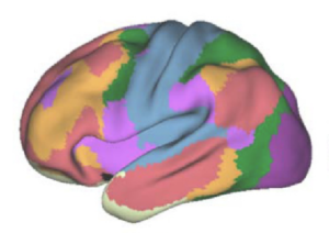 Cortical Atlas Parcellations (MNI-Space) – Lead-DBS