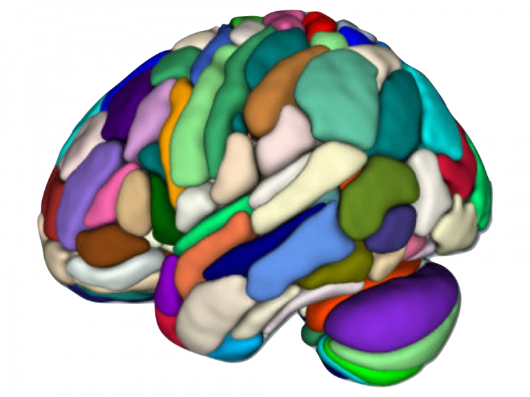 Cortical Atlas Parcellations (MNI-Space) – Lead-DBS