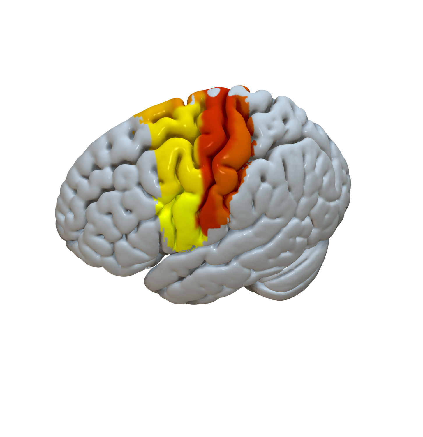 Cortical Atlas Parcellations (MNI-Space) – Lead-DBS